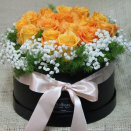 Flowerbox Rose arancio – IMG 1324 copia