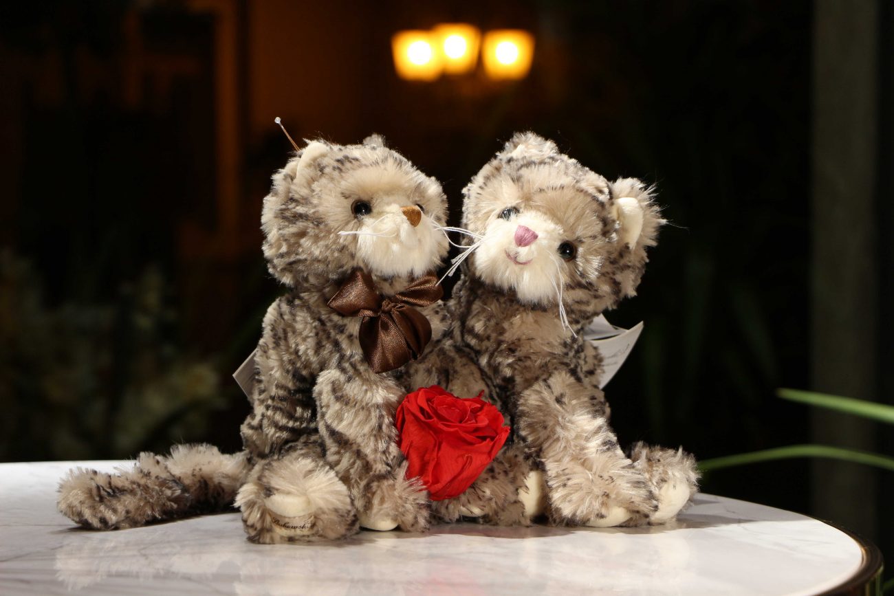 Peluche Bukowski Peluche Bukowski Maciek Stilfiore
