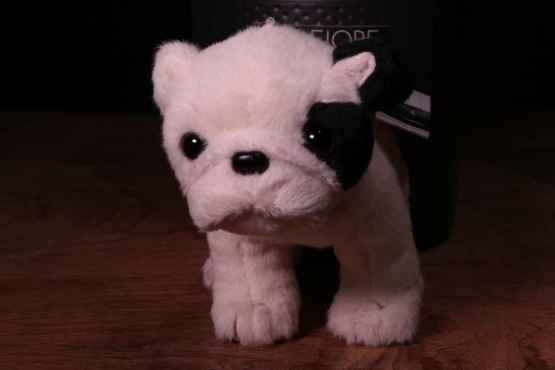 Peluche Bukowski Black and White dog – IMG 0378