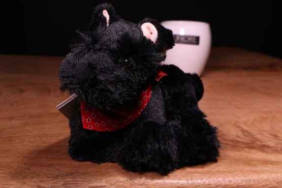 Peluche Bukowski Black dog – IMG 0388