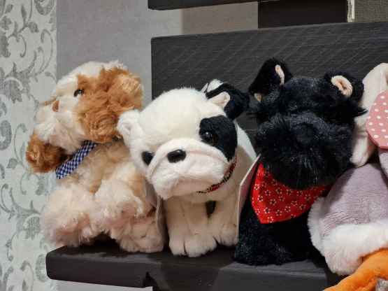 Peluche Bukowski Black and White dog – withe black brown