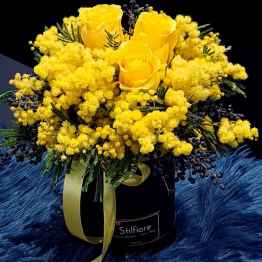 Flowerbox mimosa – 20210301 134623 e1615129913320