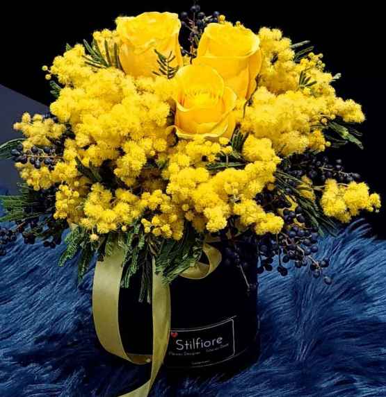 Flowerbox mimosa – 20210301 134623 e1615129913320