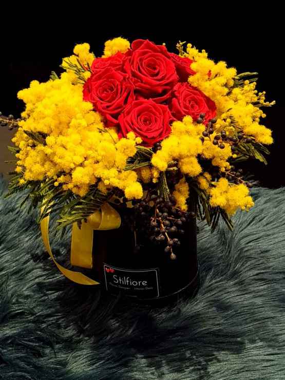 Flowerbox mimosa – 20210301 135214 e1615123136883