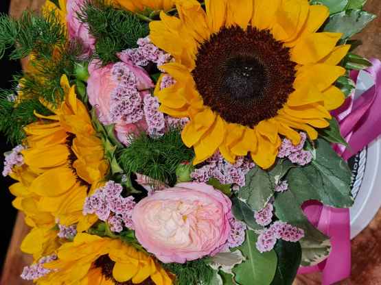 Flowerbox di girasoli – 20210702 185557