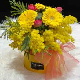 Flowerbox con gerbere e mimosa