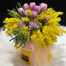 Flowerbox con mimosa e tulipani